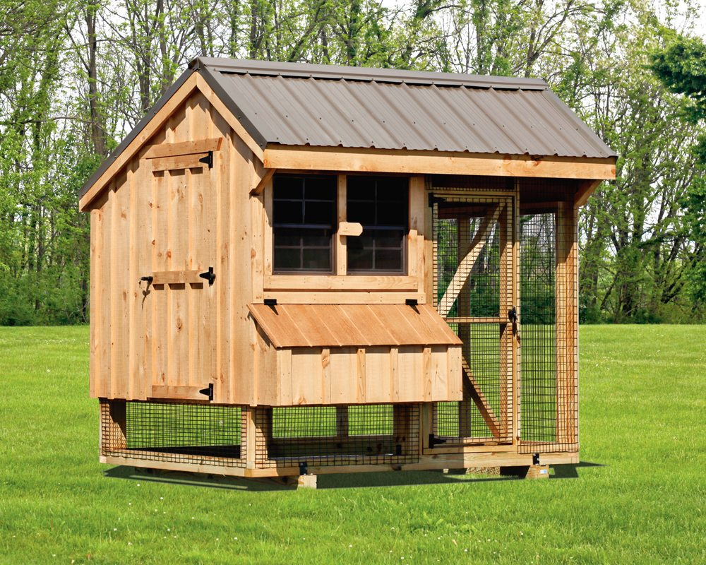 Buy Chicken Coops for the safety of your Pets